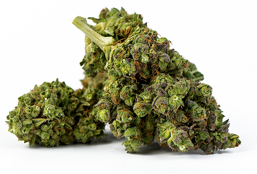 Joints & Flowers