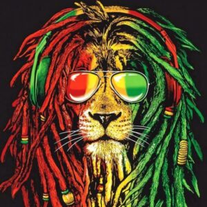 One love festival 2026