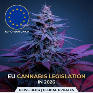 The Green Wave of 2026